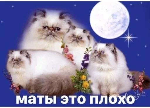 Стикер yooooooooooy - 5