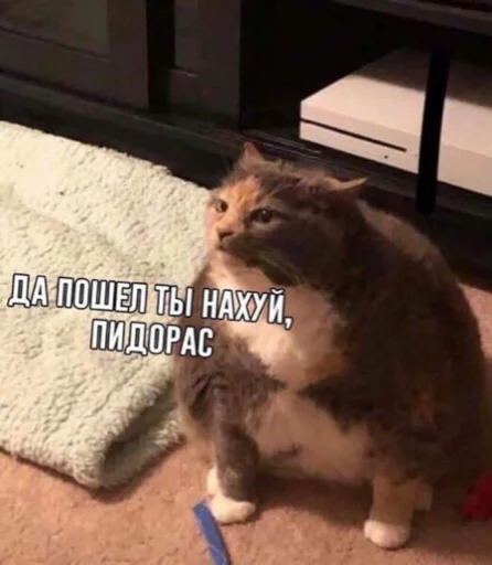 Стикер yooooooooooy - 4