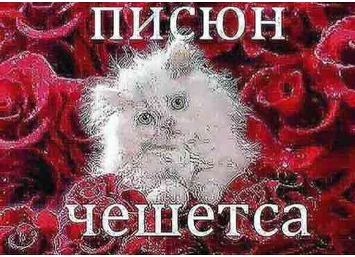 Стикер yooooooooooy - 3