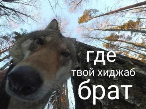 Стикер yooooooooooy - 1