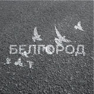 Sticker Вместе с Белгородом - 3