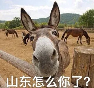 Стикер 绷不住了 @bengbuzhule - 9