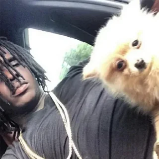 Sticker benjicodawaid - 4