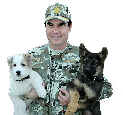 Человек порода собак домашнее животное