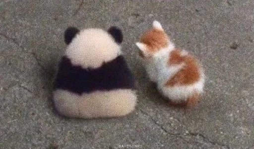 земля мех животное