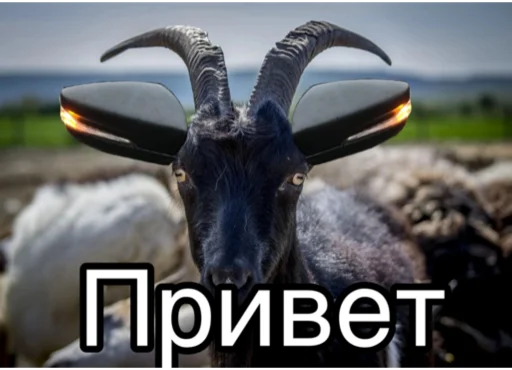 Бесоёбы - 