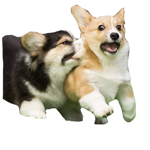 Sticker best pack ever - 9