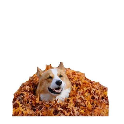 Sticker best pack ever - 8