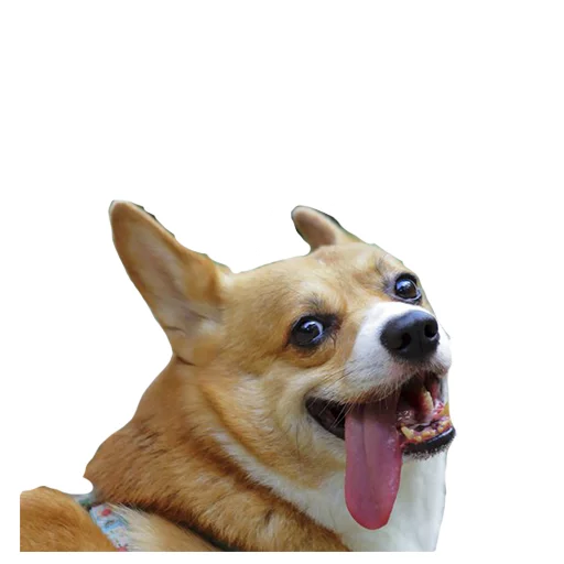 Sticker best pack ever - 7