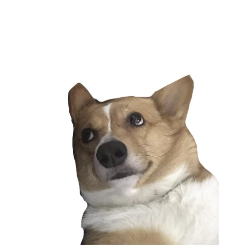 Sticker best pack ever - 5