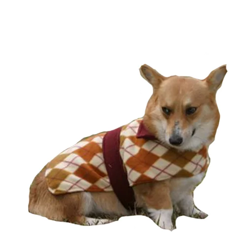 Sticker best pack ever - 4