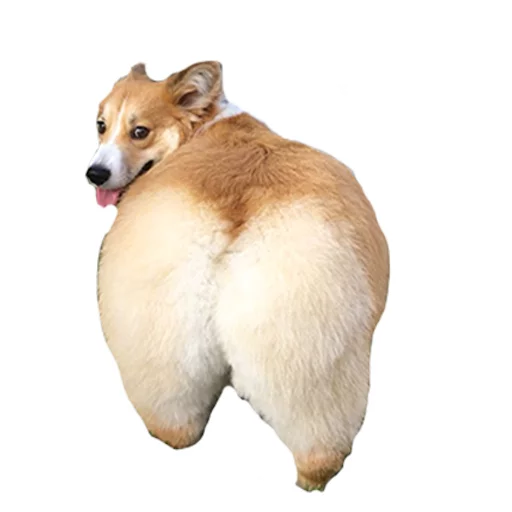 Sticker best pack ever - 3