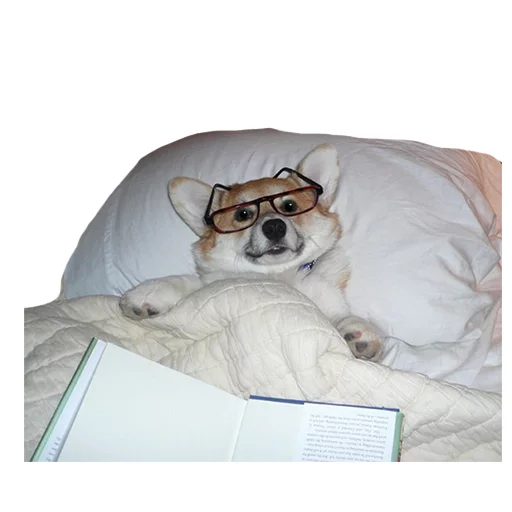 Sticker best pack ever - 2