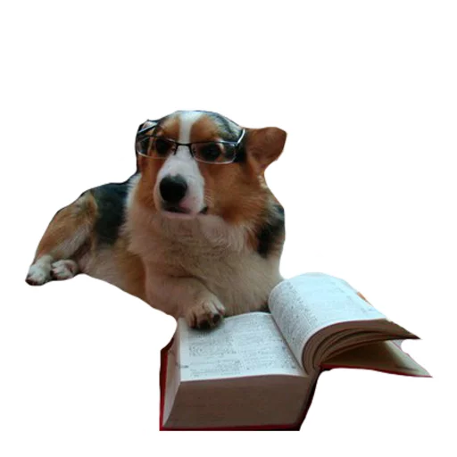 Sticker best pack ever - 1