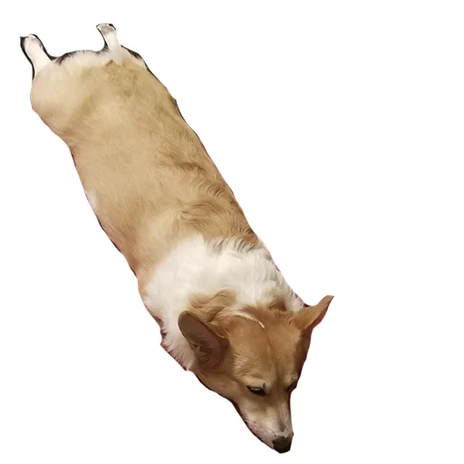 Sticker best pack ever - 0