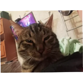 Стикер Бест фрейндс - 11