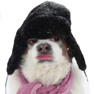 Стикер БестОф - 7