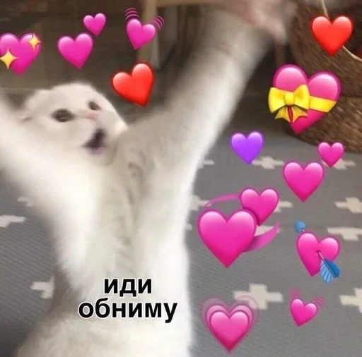 Всё что нужно😎 :: @fStikBot - 