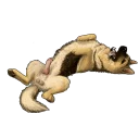 Sticker Besti Dog Pack - 5