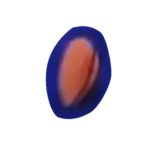 circle screenshot invertebrate