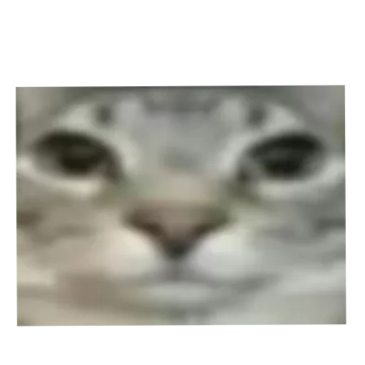 БЕЗ ВАРНААА - 