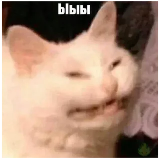 Sticker Больше стикеров 👉🏻 @stickertg4 - 8