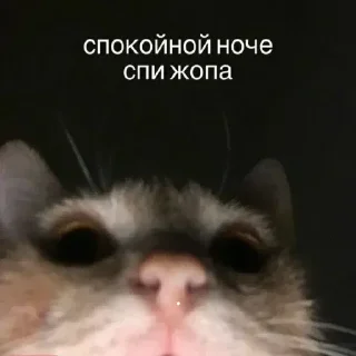 Стикер Создай свои стикеры - @sozdsti_bot - 11