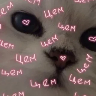 Sticker @sexstikkers - 8