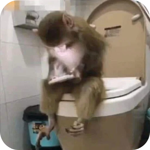 Бибизянычичичи - 