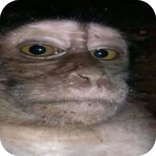 Стикер Бибизянычичичи - 1