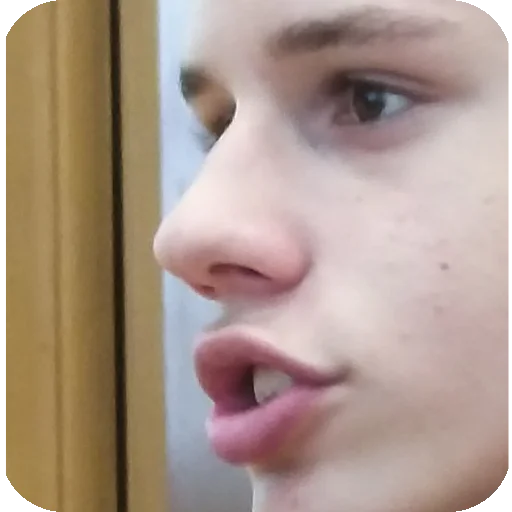 Sticker Bibroshchin - 1