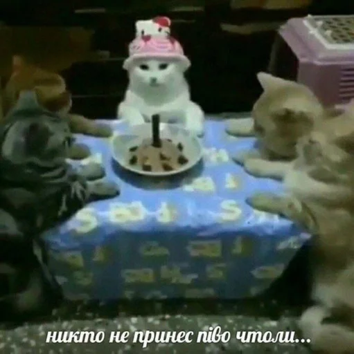 Стикер Бичс :: @fStikBot - 4