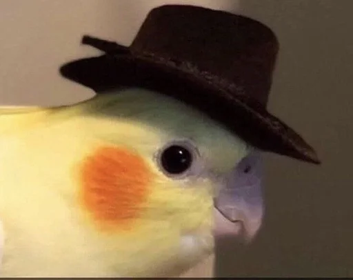 Стикер Бичс :: @fStikBot - 2