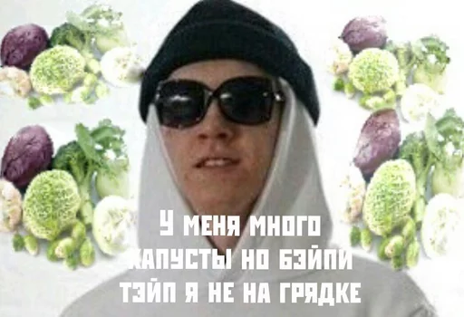 vegetable sunglasses glasses