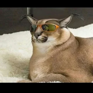 Стикер Стикеры Шлёпы (by @KubikRubik001) - 2