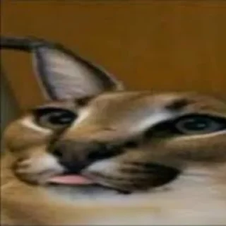 Стикер Стикеры Шлёпы (by @KubikRubik001) - 3