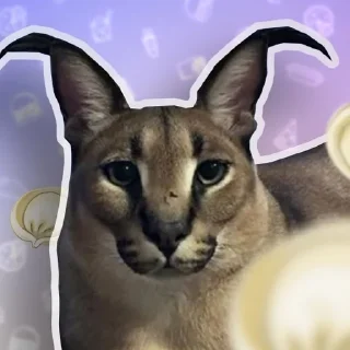 Стикер Стикеры Шлёпы (by @KubikRubik001) - 10