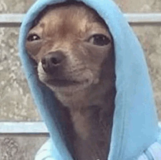 Sticker BigMehlan - 1