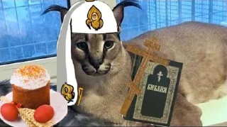 Sticker Big Boss Шлёпа @stickers_teleg_telegramstickeri - 2