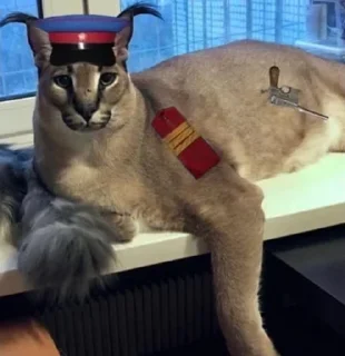 Sticker Big Boss Шлёпа @stickers_teleg_telegramstickeri - 1