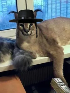 Sticker Big Boss Шлёпа @stickers_teleg_telegramstickeri - 11