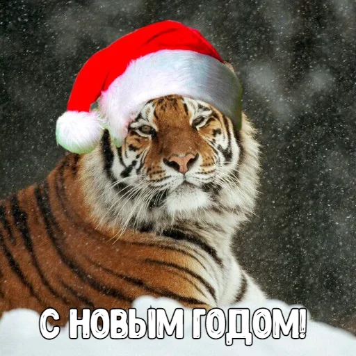 Sticker Big_Boom_Poloh - 1