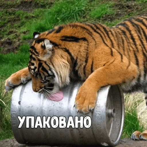 Sticker Big_Boom_Poloh - 1