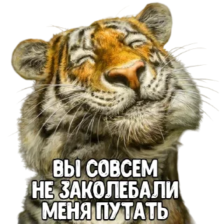 Sticker Big_Boom_Poloh|@SHiN_EXEL - 0