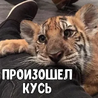 Sticker Big_Boom_Poloh|@SHiN_EXEL - 9