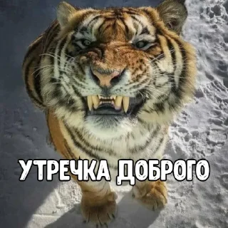 Sticker Big_Boom_Poloh|@SHiN_EXEL - 6