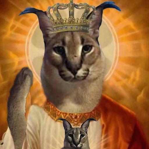 животное кошка млекопитающее