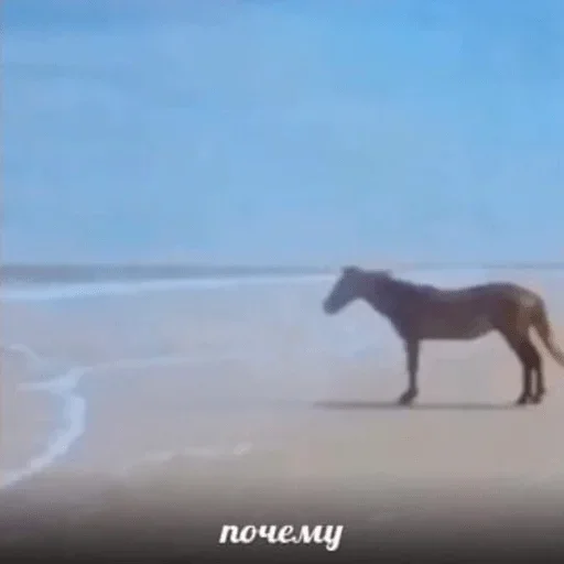 Стикер Наливай куме горiлки стаканчик :: @fStikBot - 2