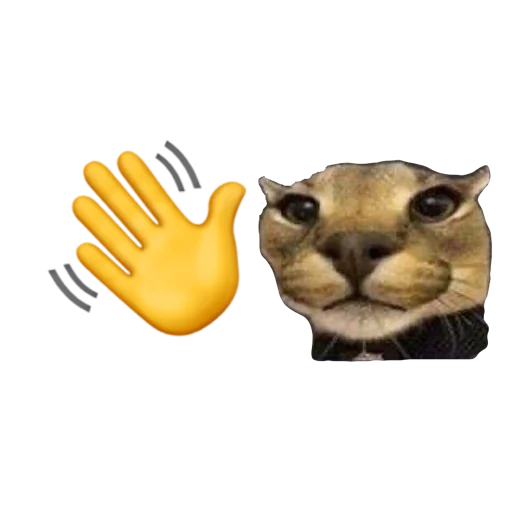 животное млекопитающее кошка