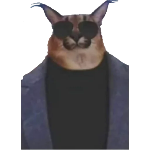 мультфильм скриншот млекопитающее